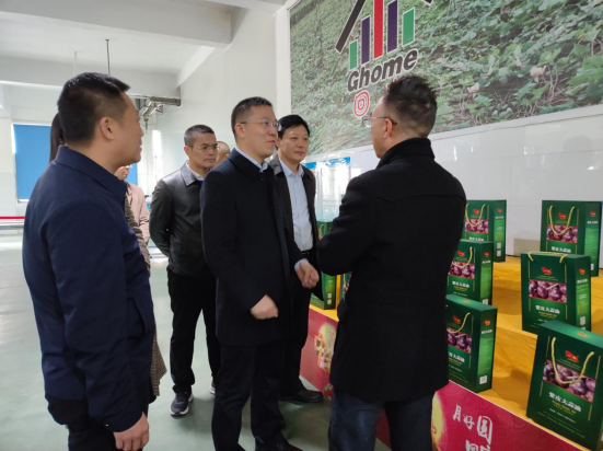 市委常委、組織部部長、統(tǒng)戰(zhàn)部部長龔紅果蒞臨天香生物調(diào)研