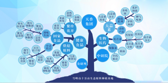 市委常委、組織部部長、統(tǒng)戰(zhàn)部部長龔紅果蒞臨天香生物調(diào)研