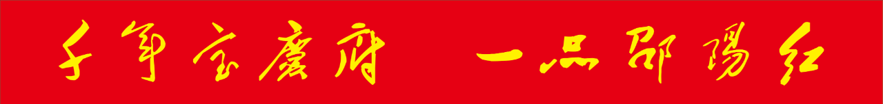 邵陽紅出貨倉參加“第三屆中非經(jīng)貿(mào)博覽會”并與非洲貝寧代表團交流合作